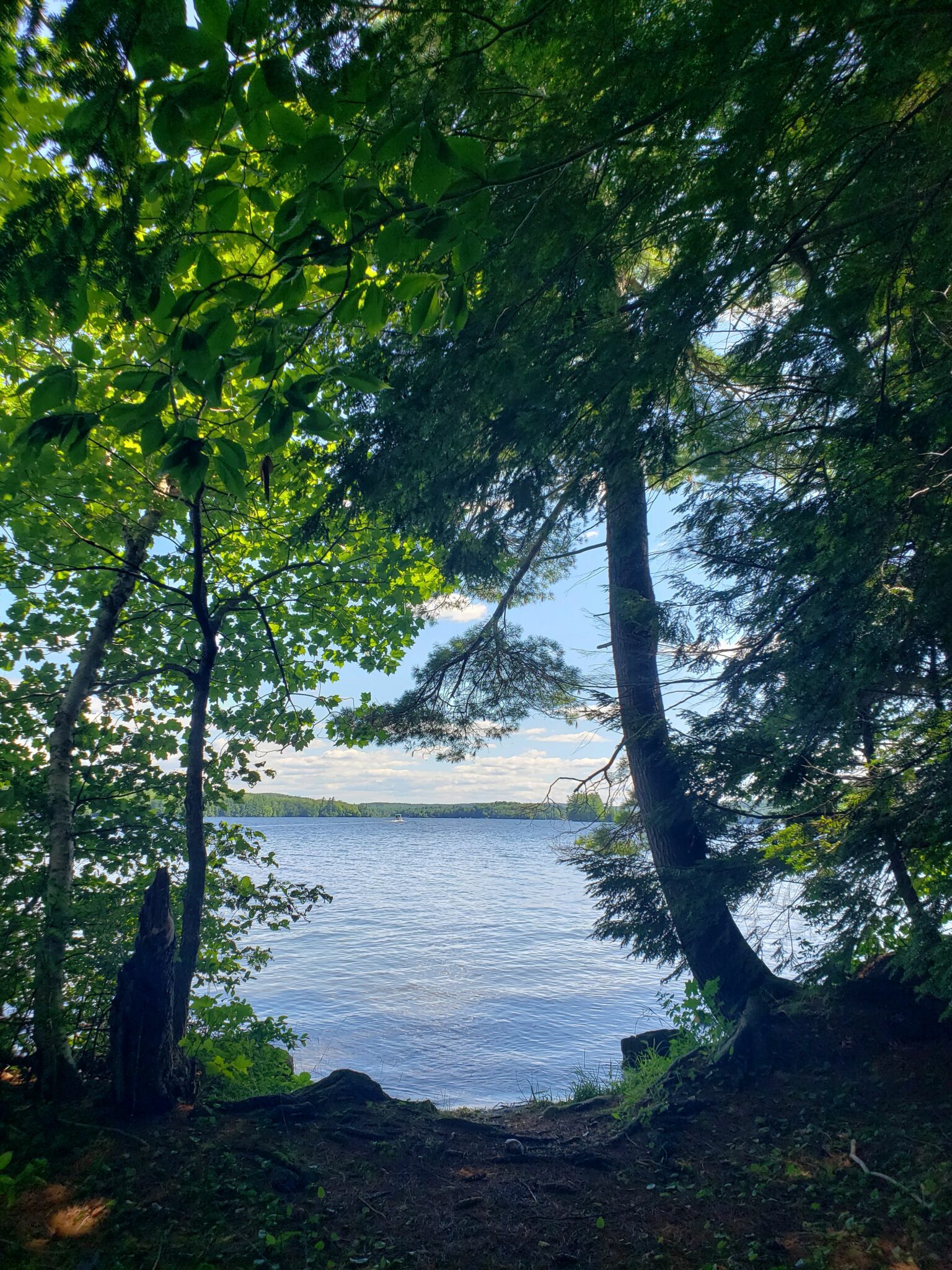 Island view out to the lake from secret cove