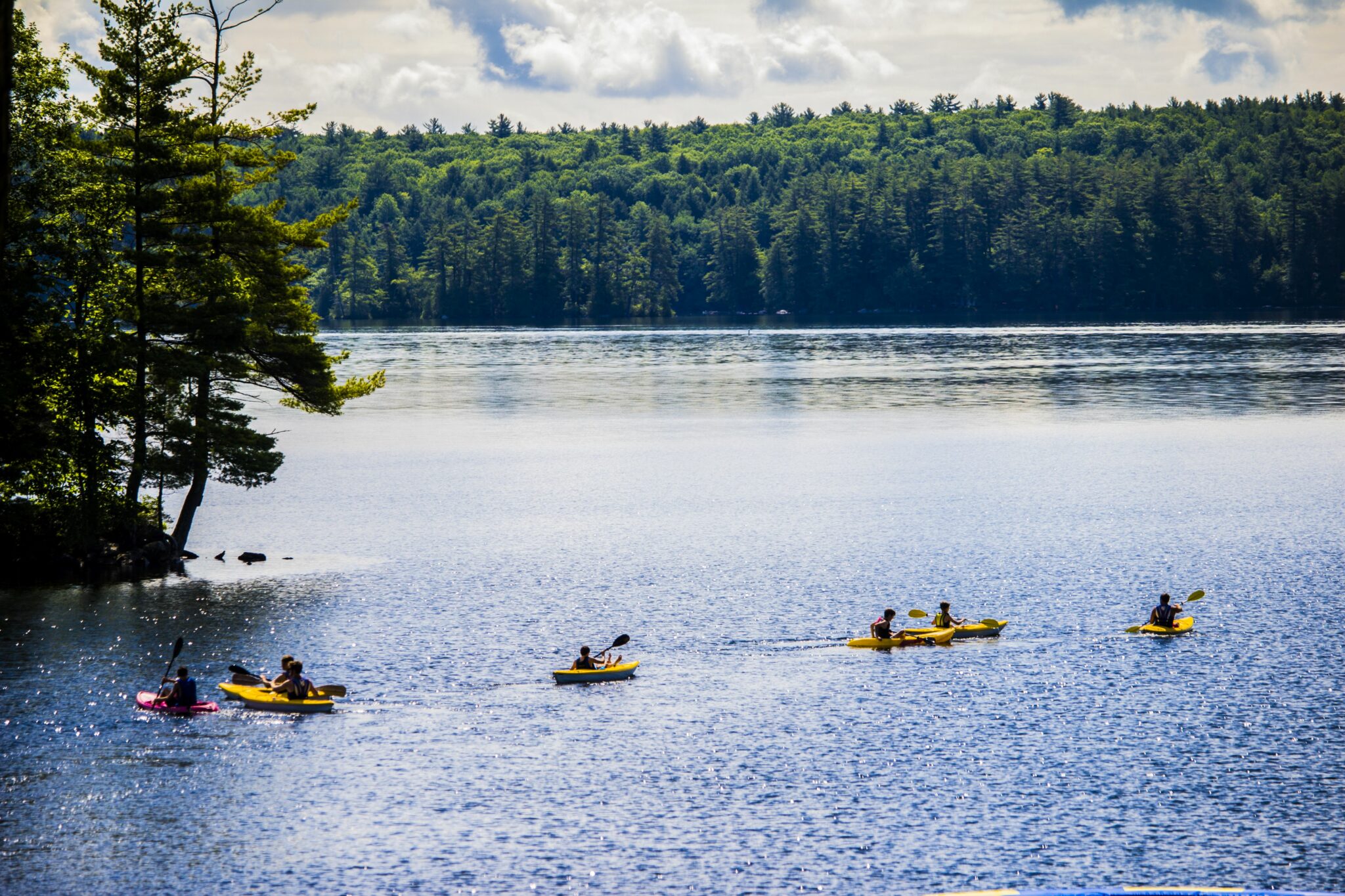 kayak glittering high