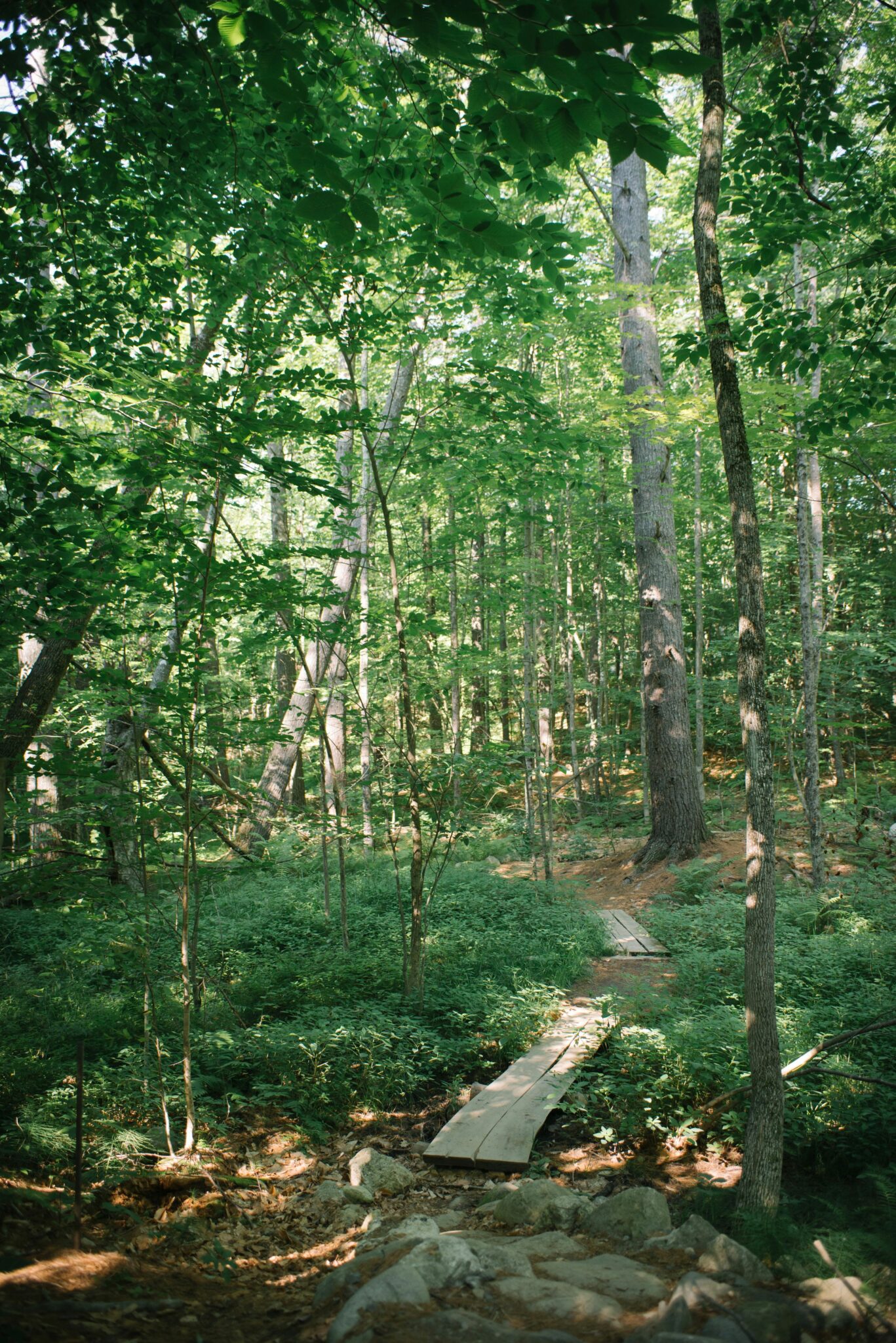 trail to soccer field bridges etc (1)